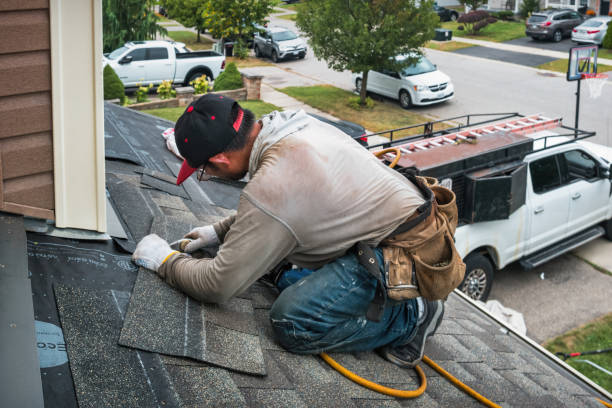 Professional Storm Damage Roof Repair technician working in Hanover, IL